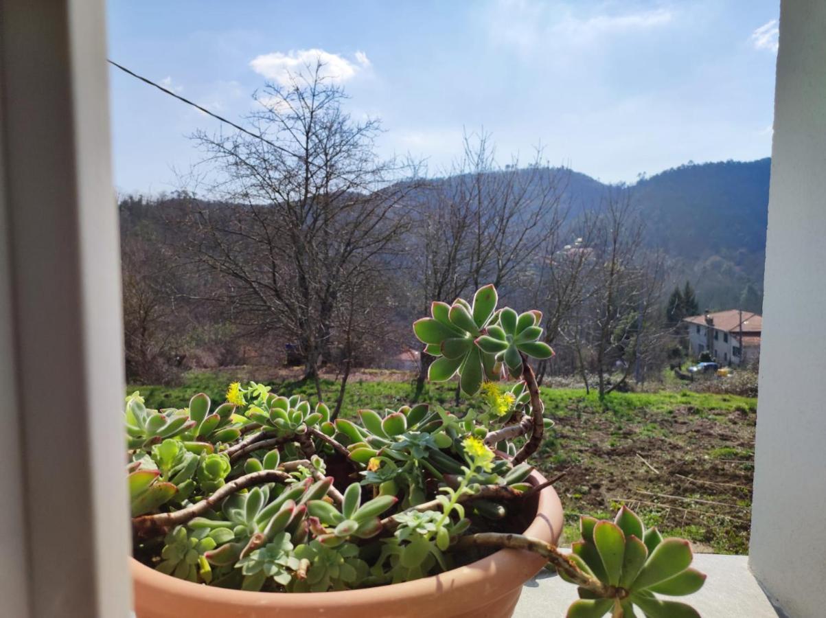 Casa Dei Giuggioli Villa Vernazza Buitenkant foto